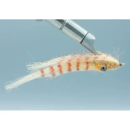 Crafty Shrimp #4 - Your Premium Fishing Gear Store Rods Lines Baits Accessories^ Best