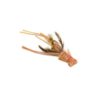 Creek Crawler - Your Premium Fishing Gear Store Rods Lines Baits Accessories^ Sale