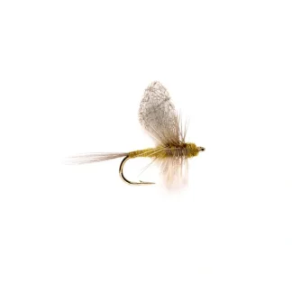 Crippled Dun BWO - Your Premium Fishing Gear Store Rods Lines Baits Accessories^ Clearance