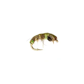 Depth Charge Czech Mate Olive - Your Premium Fishing Gear Store Rods Lines Baits Accessories^ Store