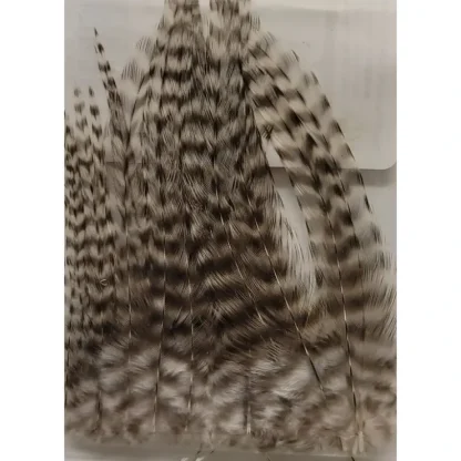 Dry Fly Neck Hackle Mini Pack - Your Premium Fishing Gear Store Rods Lines Baits Accessories^ Discount