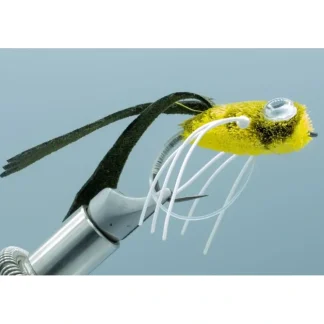 Dry Rind Frog Popper #6 - Your Premium Fishing Gear Store Rods Lines Baits Accessories^ New