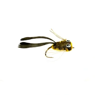 Dry Rind Frog Popper - Your Premium Fishing Gear Store Rods Lines Baits Accessories^ Best Sale