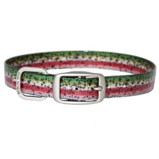 Dublin Dog KOA Dublin Dog Collar - Your Premium Fishing Gear Store Rods Lines Baits Accessories^ Online