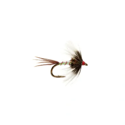 DW Catchall Spider - Your Premium Fishing Gear Store Rods Lines Baits Accessories^ Cheap