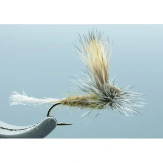 E/C Caddis Olive #16 - Your Premium Fishing Gear Store Rods Lines Baits Accessories^ Outlet