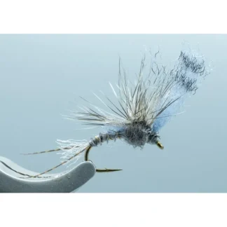 Film Critic Calli. #14 - Your Premium Fishing Gear Store Rods Lines Baits Accessories^ Flash Sale