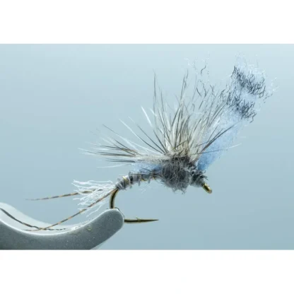 Film Critic Calli. #14 - Your Premium Fishing Gear Store Rods Lines Baits Accessories^ Flash Sale