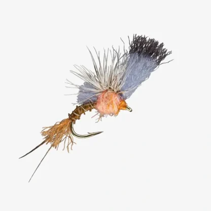 Film Critic PMD - Your Premium Fishing Gear Store Rods Lines Baits Accessories^ Best