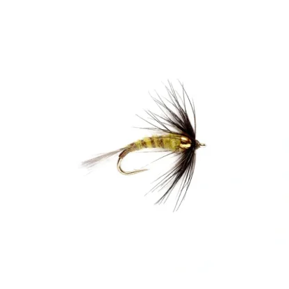 Flymph BWO Beadhead - Your Premium Fishing Gear Store Rods Lines Baits Accessories^ Online