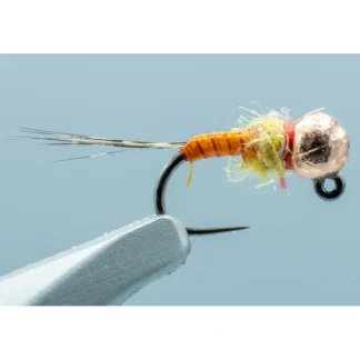 Ginger Snap PMD #18 - Your Premium Fishing Gear Store Rods Lines Baits Accessories^ Cheap