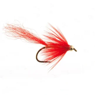 Gold Comet - Your Premium Fishing Gear Store Rods Lines Baits Accessories^ Cheap