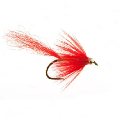 Gold Comet - Your Premium Fishing Gear Store Rods Lines Baits Accessories^ Cheap