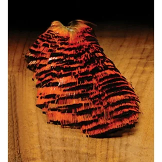 Golden Pheasant - Your Premium Fishing Gear Store Rods Lines Baits Accessories^ Clearance