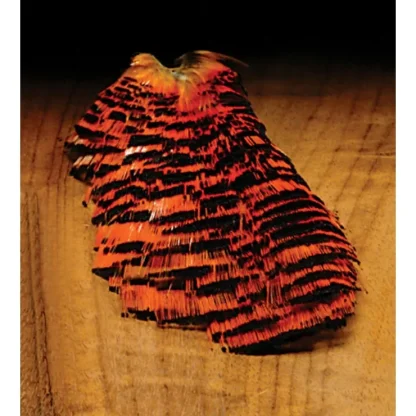 Golden Pheasant - Your Premium Fishing Gear Store Rods Lines Baits Accessories^ Clearance