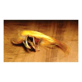 Golden Pheasant Crest - Your Premium Fishing Gear Store Rods Lines Baits Accessories^ Discount