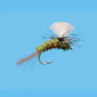 Green Drake Sir Francis - Your Premium Fishing Gear Store Rods Lines Baits Accessories^ New