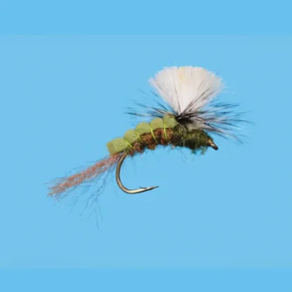 Green Drake Sir Francis - Your Premium Fishing Gear Store Rods Lines Baits Accessories^ New
