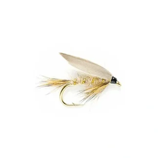 GRHE Wet - Your Premium Fishing Gear Store Rods Lines Baits Accessories^ Best