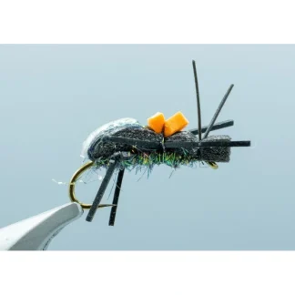 Ground Beetle Black #10 - Your Premium Fishing Gear Store Rods Lines Baits Accessories^ Best