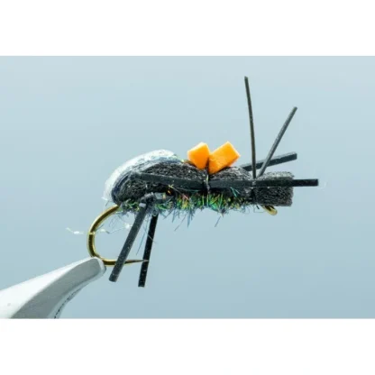 Ground Beetle Black #10 - Your Premium Fishing Gear Store Rods Lines Baits Accessories^ Best