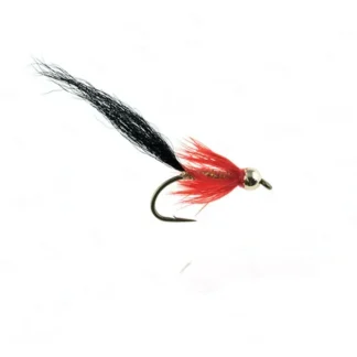 Halloween Comet - Your Premium Fishing Gear Store Rods Lines Baits Accessories^ Shop