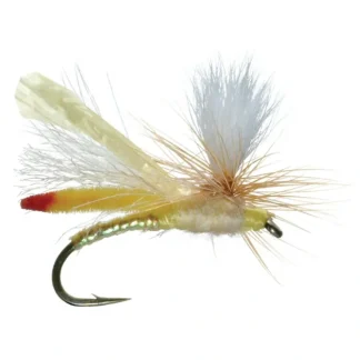 Headlight Yellow Sallie - Your Premium Fishing Gear Store Rods Lines Baits Accessories^ Shop
