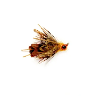 Hise's Carpnasty Rusty Orange - Your Premium Fishing Gear Store Rods Lines Baits Accessories^ Cheap