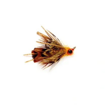 Hise's Carpnasty Rusty Orange - Your Premium Fishing Gear Store Rods Lines Baits Accessories^ Cheap