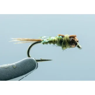Hogan S&M Nymph TB Olive #16 - Your Premium Fishing Gear Store Rods Lines Baits Accessories^ Shop