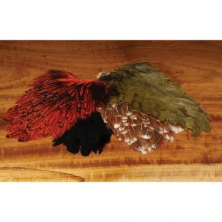 India Hen Back - Your Premium Fishing Gear Store Rods Lines Baits Accessories^ Outlet