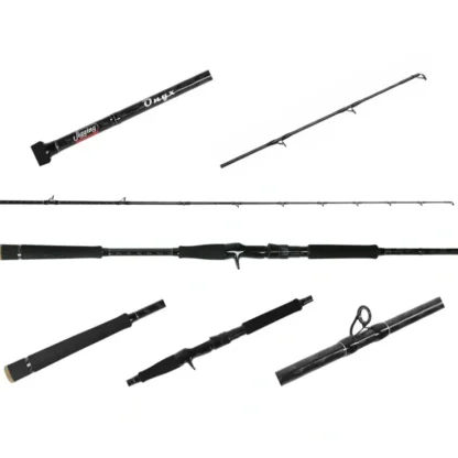 Jigging World Onyx Inshore Casting Rods - Your Premium Fishing Gear Store Rods Lines Baits Accessories^ Best