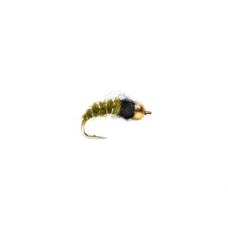 Krystal Caddis Olive Beadhead - Your Premium Fishing Gear Store Rods Lines Baits Accessories^ Shop
