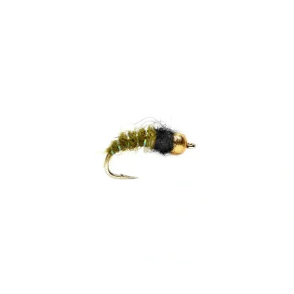 Krystal Caddis Olive Beadhead - Your Premium Fishing Gear Store Rods Lines Baits Accessories^ Shop
