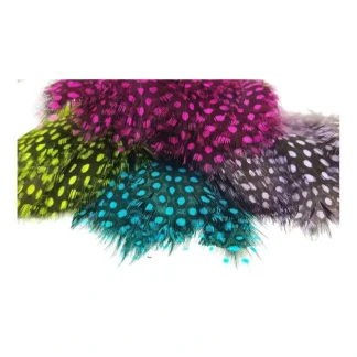 Large Dot Guinea Hackle - Your Premium Fishing Gear Store Rods Lines Baits Accessories* Fly Fishing
