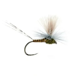Lexi's Get 'er Dun May - Your Premium Fishing Gear Store Rods Lines Baits Accessories* Fly Fishing