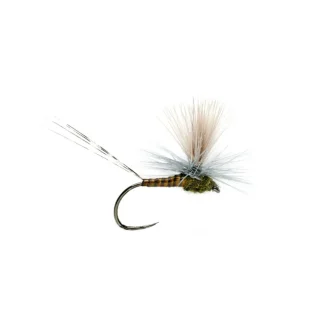 Lexi's Get 'er Dun May BWO Barbless - Your Premium Fishing Gear Store Rods Lines Baits Accessories* Fly Fishing
