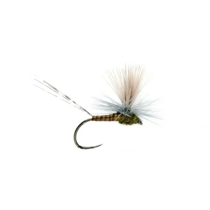 Lexi's Get 'er Dun May BWO Barbless - Your Premium Fishing Gear Store Rods Lines Baits Accessories* Fly Fishing