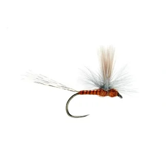 Lexi's Get 'er Dun May Red Quill Barbless - Your Premium Fishing Gear Store Rods Lines Baits Accessories* Fly Fishing