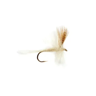 Light Cahill - Your Premium Fishing Gear Store Rods Lines Baits Accessories* Fly Fishing
