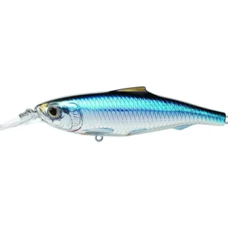 Live Target Spanish Sardine Jerkbait SPJ Saltwater Inshore Hard Plastic Baits - Your Premium Fishing Gear Store Rods Lines Baits Accessories^ New