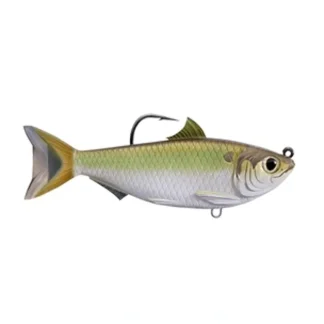 Live Target Threadfin Shad - Your Premium Fishing Gear Store Rods Lines Baits Accessories* Bait