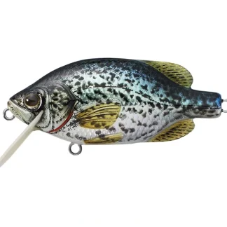 LiveTarget Crappie Flat-Side Shallow Dive Crankbait - Your Premium Fishing Gear Store Rods Lines Baits Accessories* Bait