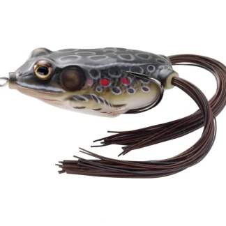 LiveTarget Frog Hollow Body Topwater Lure, 1 3/4", #1 Hook, 1/4 oz, Brown/Black - Your Premium Fishing Gear Store Rods Lines Baits Accessories* Bait