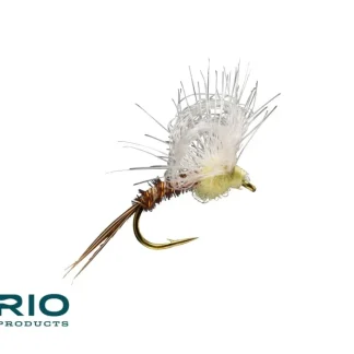 Loop Wing PMD - Your Premium Fishing Gear Store Rods Lines Baits Accessories* Fly Fishing