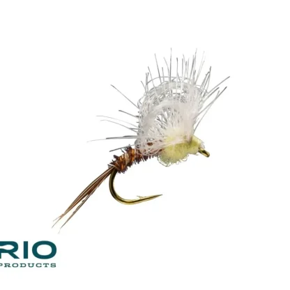 Loop Wing PMD - Your Premium Fishing Gear Store Rods Lines Baits Accessories* Fly Fishing