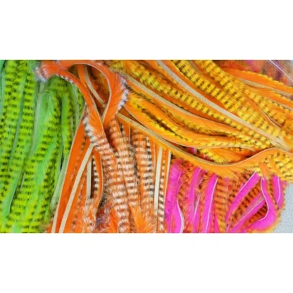 Magnum Tiger Barred Strips - Your Premium Fishing Gear Store Rods Lines Baits Accessories* Fly Fishing