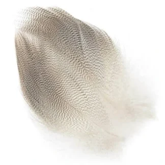 MALLARD BARRED FLANK - Your Premium Fishing Gear Store Rods Lines Baits Accessories* Fly Fishing