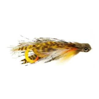 Man Bear Pig Perch - Your Premium Fishing Gear Store Rods Lines Baits Accessories* Fly Fishing