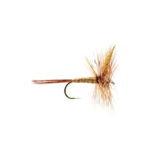 March Brown - Your Premium Fishing Gear Store Rods Lines Baits Accessories* Fly Fishing